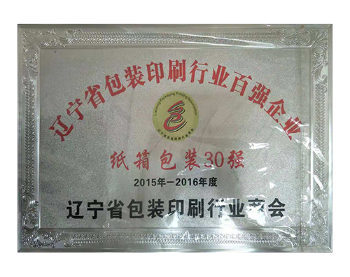 遼寧省包裝印刷行業百強企業